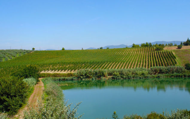 Borgo Fontana - Photo 8