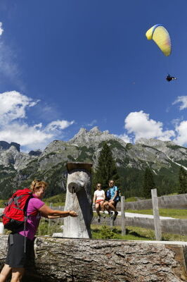 Edelweiss - Photo 21