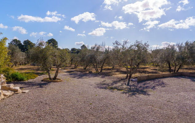 Ses Comes - Photo 37