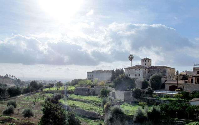 Ses Comes - Photo 39