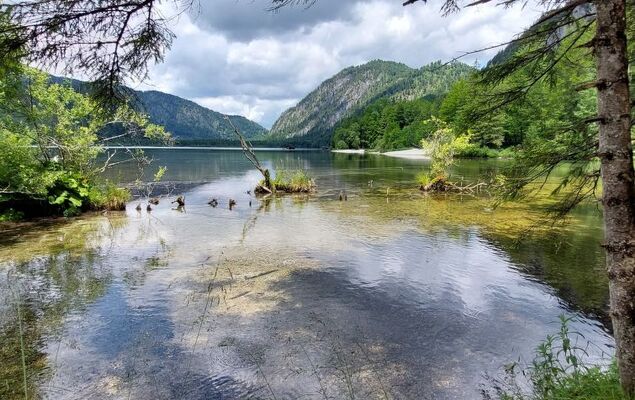 Adlerhorst / Top 5 - Photo 42