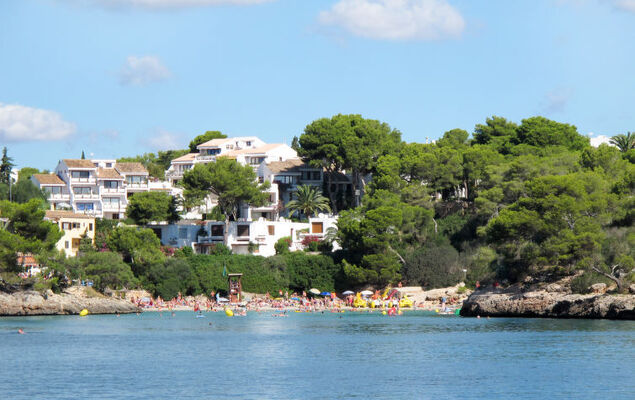 Finca del Sol - Photo 27