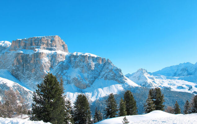 Cesa Galadriel - Photo 70