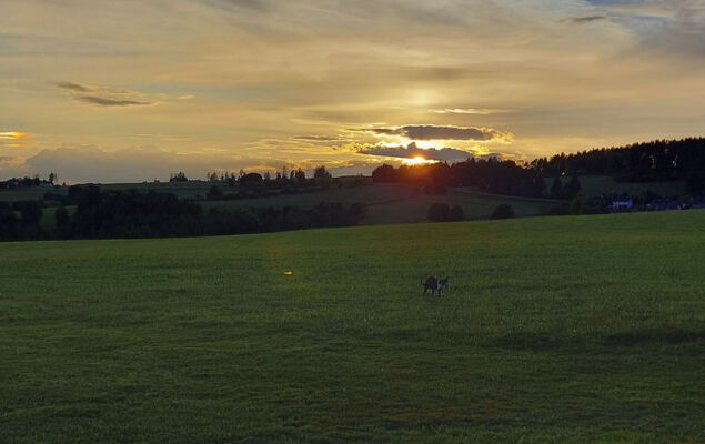 Gustis Hüsli - Alpensicht & Natur pur - Photo 55