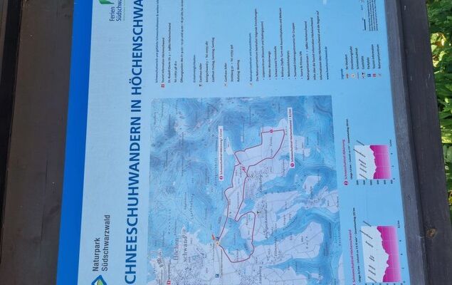 Wohnung Nr.23 - Photo 20